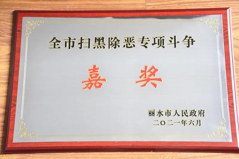 赞！景宁县检察院在全市扫黑除恶专项斗争工作中获评“集体嘉奖”